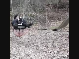 pissing from swing